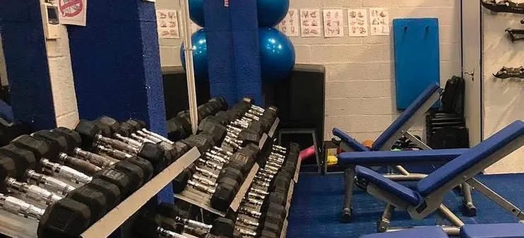 Mancuernas, fitballs y bancos regulables